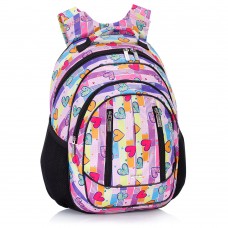 School Backpack 504 